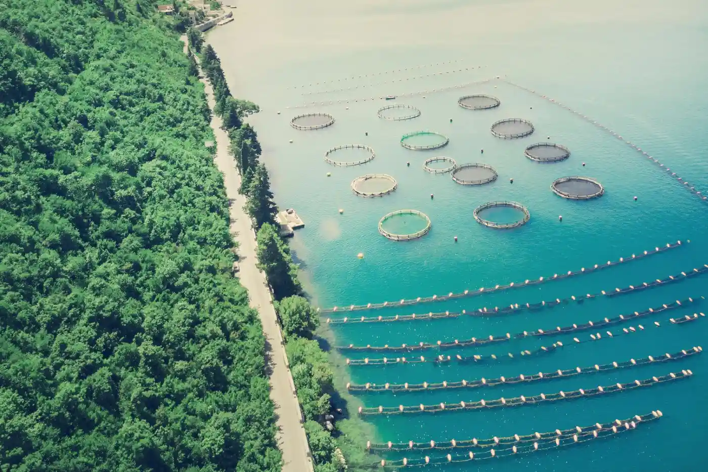 Investing in the Blue Economy